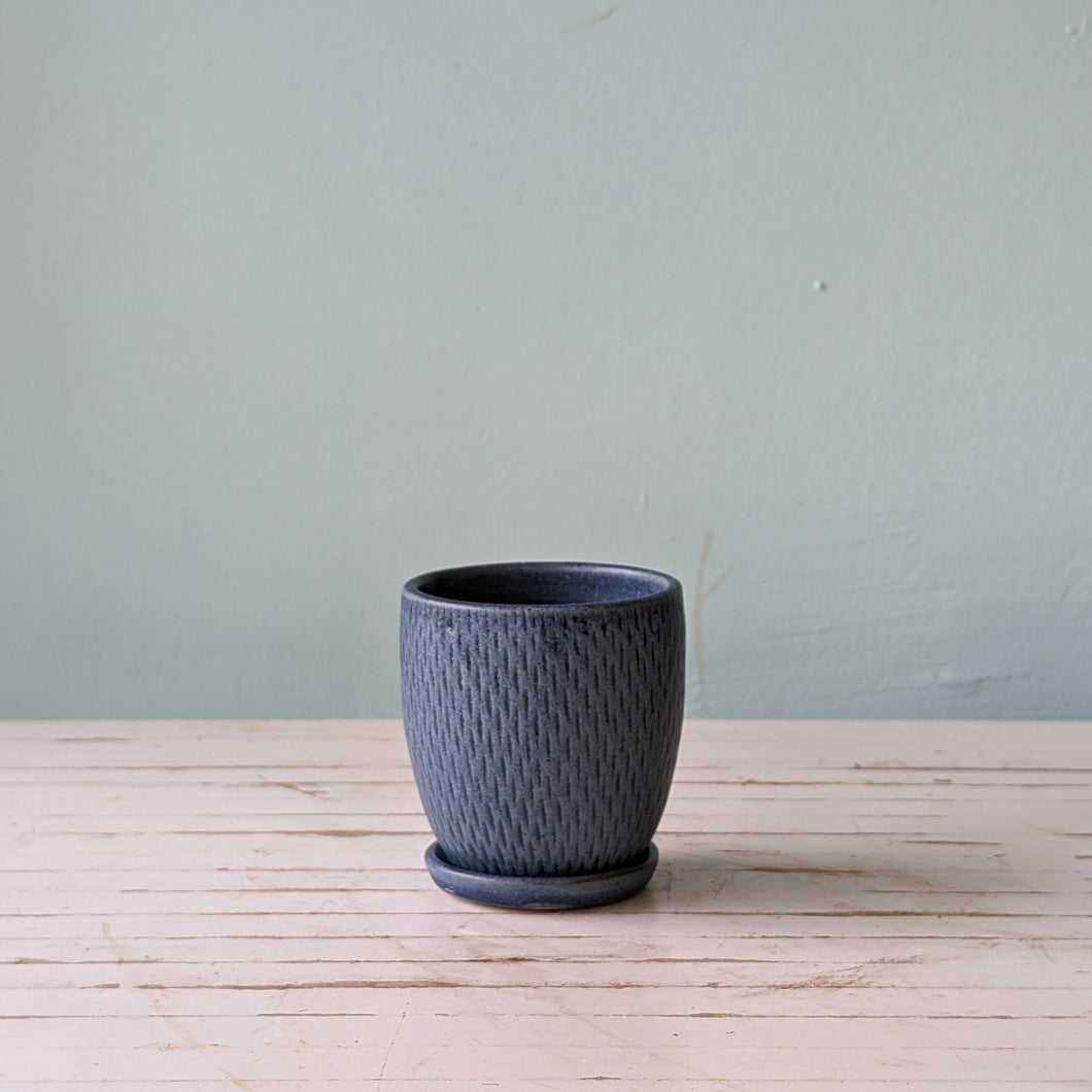 Planter Assorted Denim, April 2024 (Asahi So)