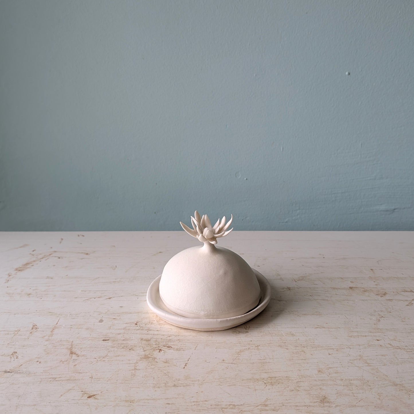 A small matte ceramic lidded butter dish with a sculptural flower-like lid and matching saucer, set on a light wood surface against a muted blue wall.