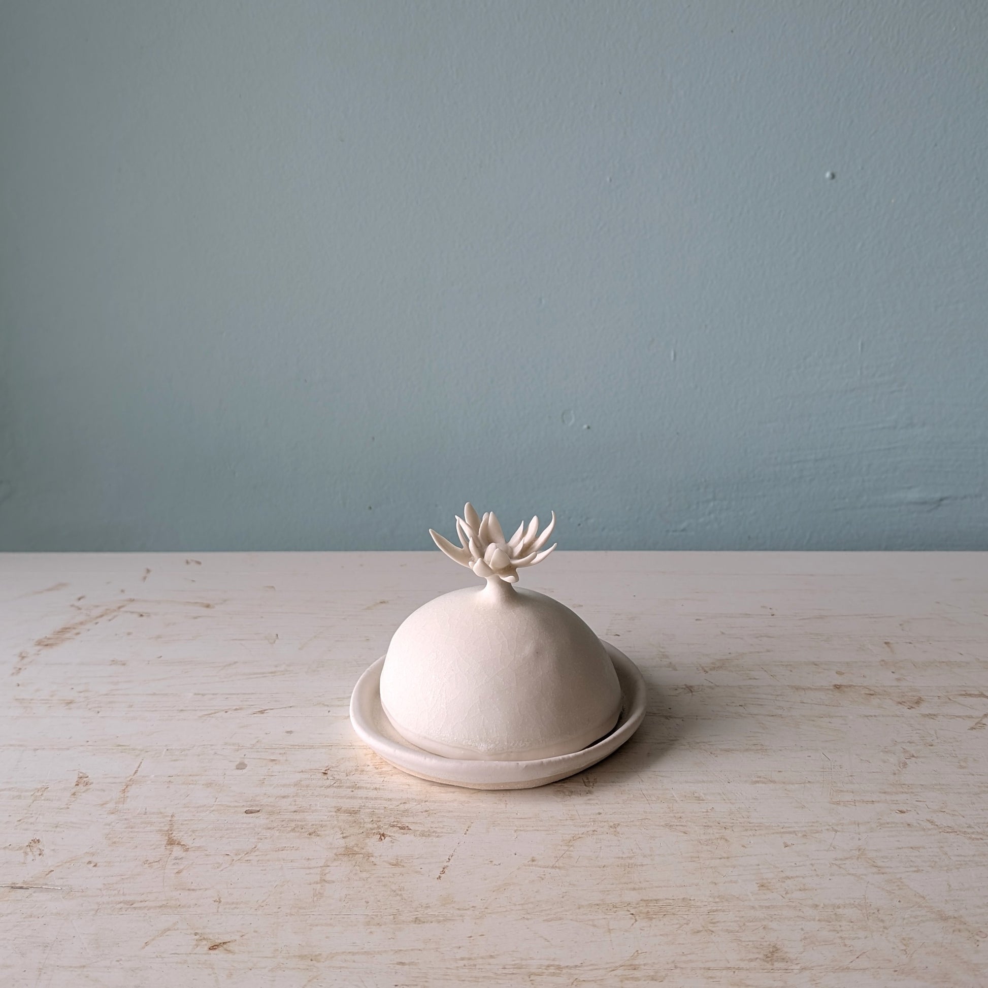 A small matte ceramic lidded butter dish with a sculptural flower-like lid and matching saucer, set on a light wood surface against a muted blue wall.