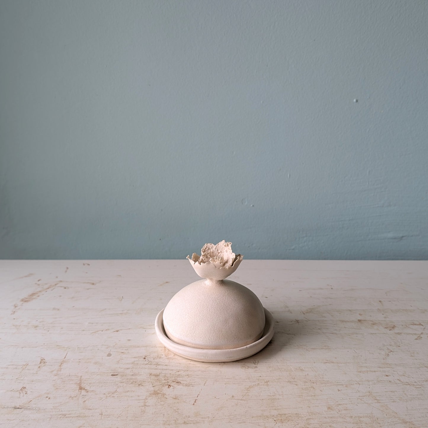 White ceramic butter dish with domed lid and flower shaped accent lid on a white table against a blue wall.