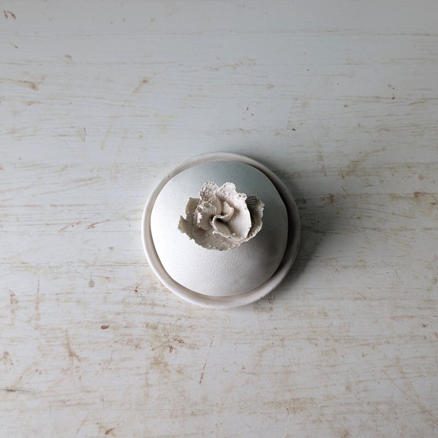 A small white ceramic butter dish with a textured, flower-like protruding lid, photographed from above on a distressed white wooden surface.