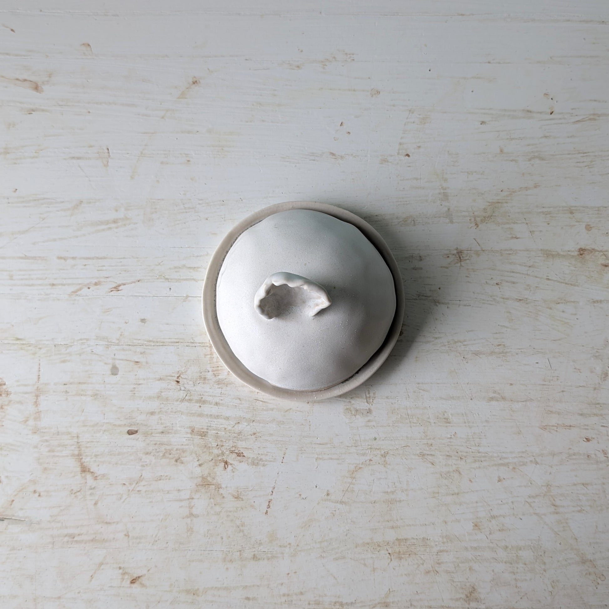 A small round ceramic butter dish with a lid, shown from above on a distressed white wooden surface. The vessel and lid are matte white, with a small shell handle on top of the lid.
