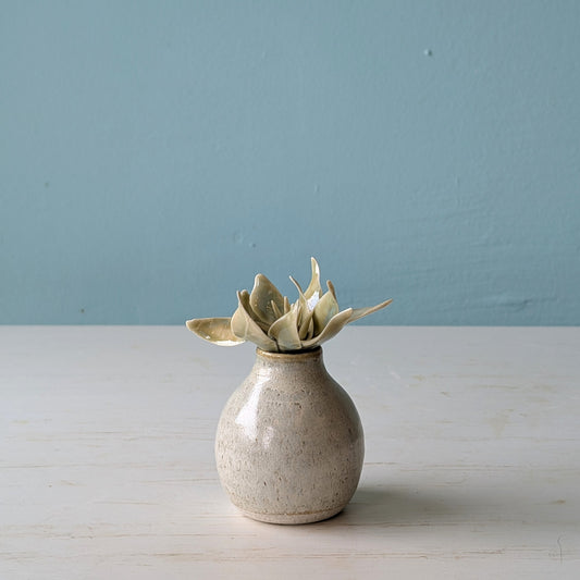 Small ceramic bottle with a succulent lid on a light surface against a blue wall