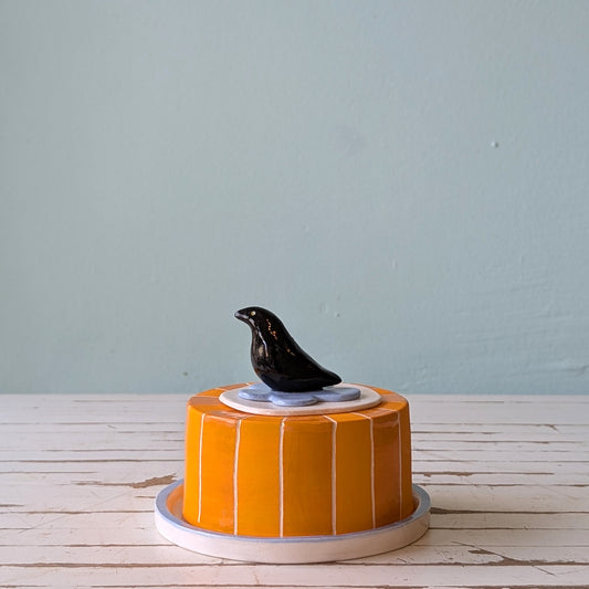 Front view of a colourful ceramic butter dish with a bird handle on a wooden surface with a blue background.