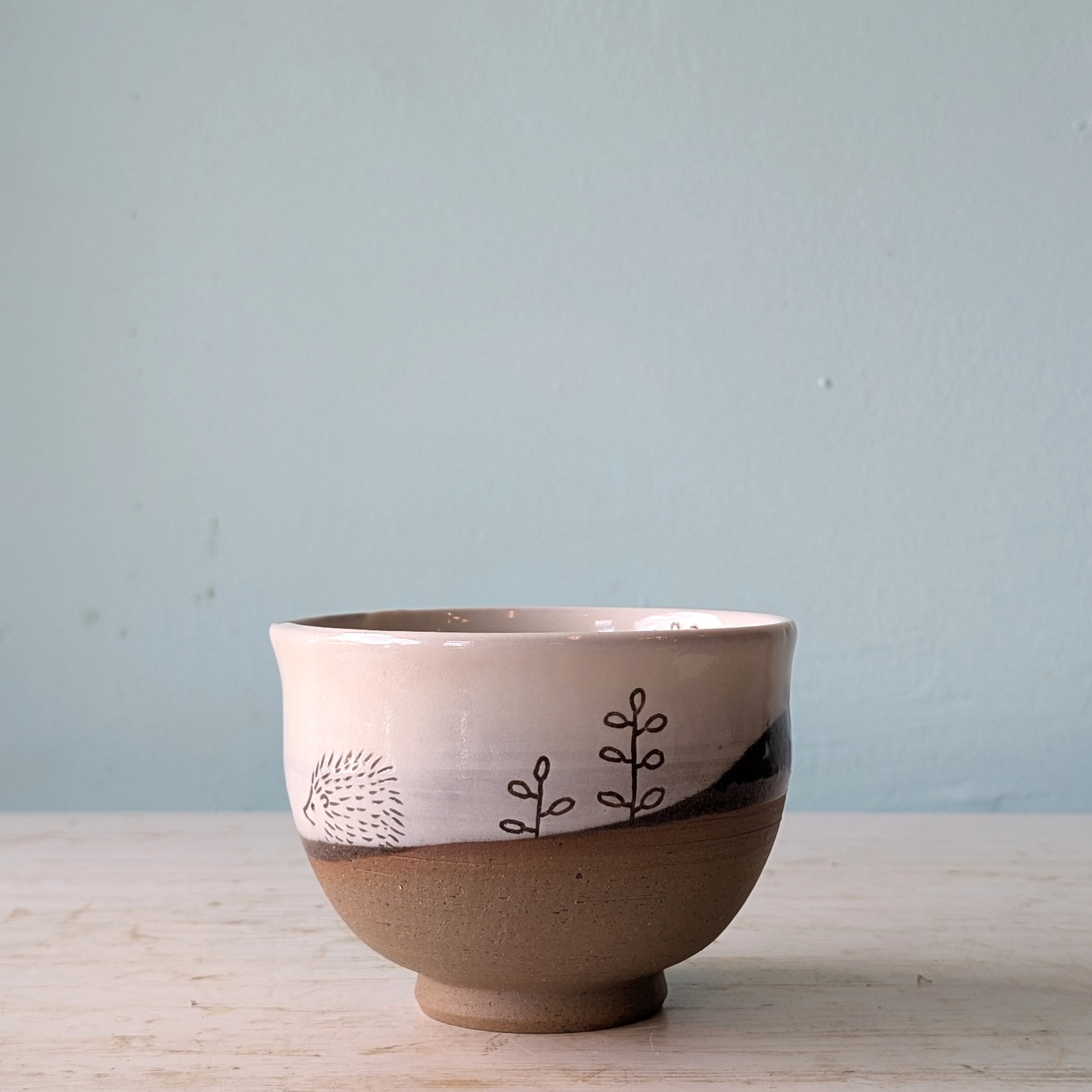 Ceramic bowl with decorative patterns on a light blue background